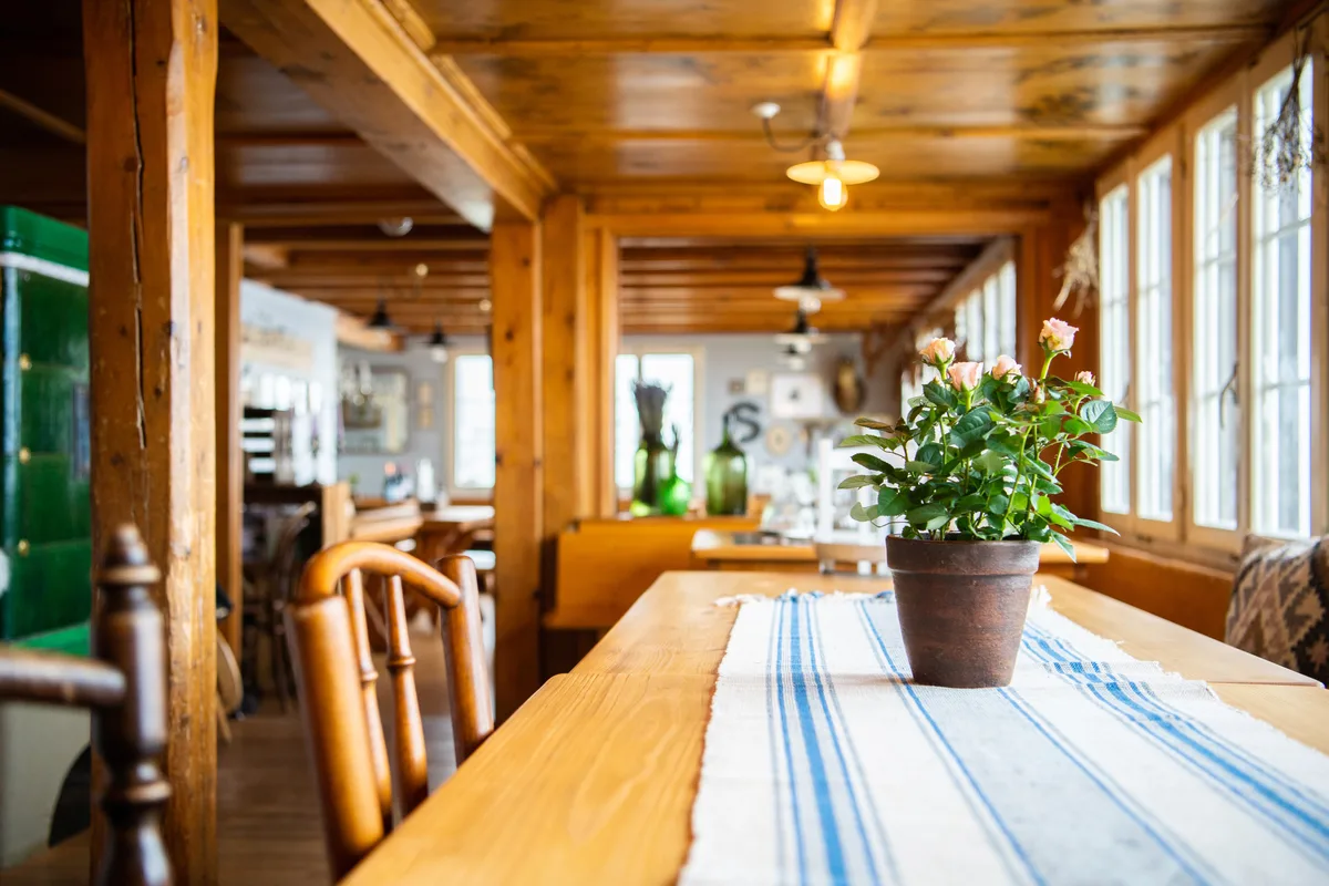 Eine lange Tafel mit Pflanze, sieht heimelig aus.